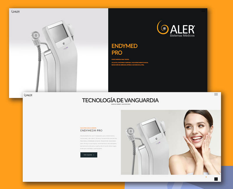 portfolio MEH